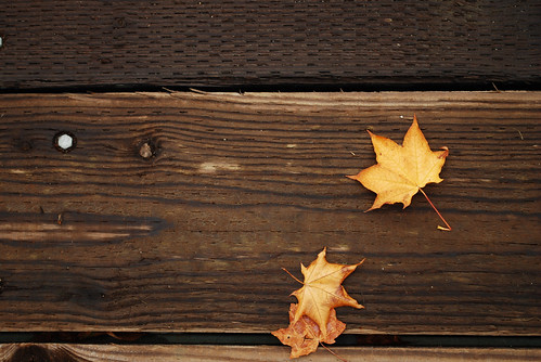 Leaves on Deck by Henry