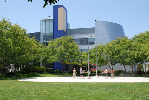 Beachvolley court at Google Campus