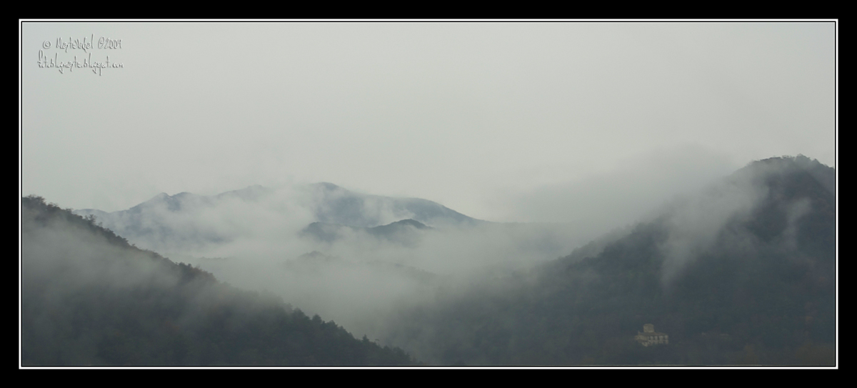 La niebla en la montaña