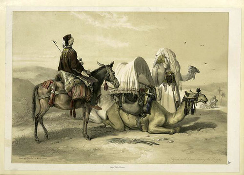 Kâfileh con camellos llevando toldos para el sol 1851