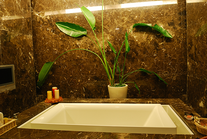 有熱帶雨林味道的浴室
