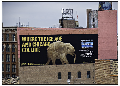 Chicago Ice Age