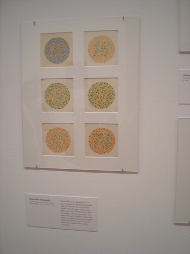 tests for color blindness. NYC - MoMA - Color blindness