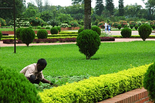 Gardener, জাতীয় স্মৃতি সৌধ Jatiyo Smriti Soudho Independence memorial park, Savar, Dhania, Dhaka, Bangladesh1671