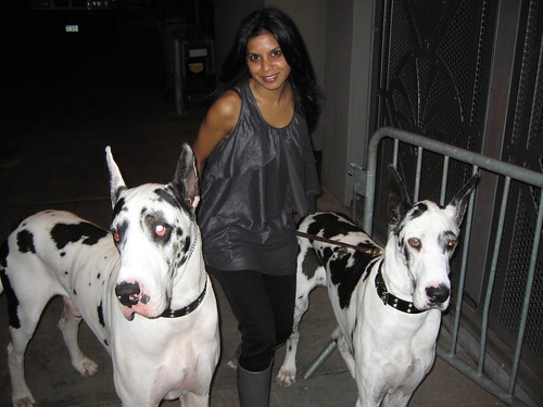 Hitha with Lady GaGa's dogs! by Hitha Prabhakar.