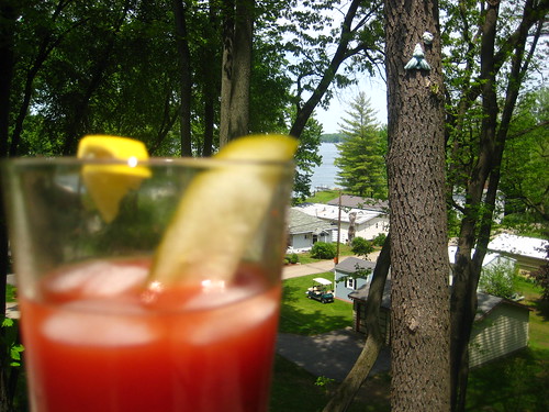 my bloody mary takes in the view.
