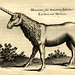 Unicorn #1--Jonston-Merian  Tab XI Frankfurt 1652 