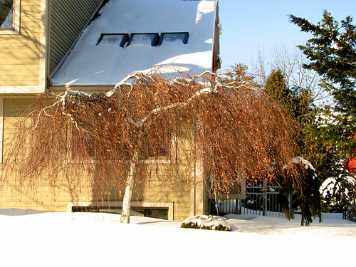 maison moderne quebec. Maison moderne dans la neige | Flickr - Photo Sharing!