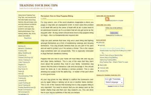 Training Your Dog Tips