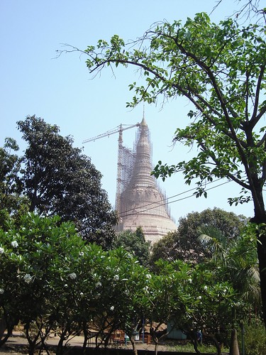 Global Pagoda