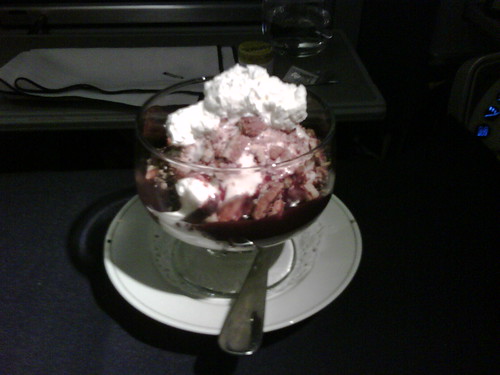 business class on american airlines ORD to CDG - sundae for dessert