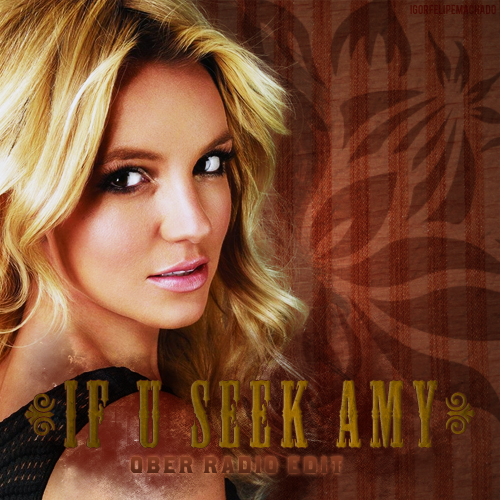 If U Seek Amy Britney Spears video