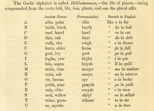 027-Alfabeto gaelico