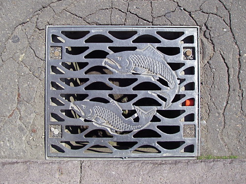 Kushiro sewer grate