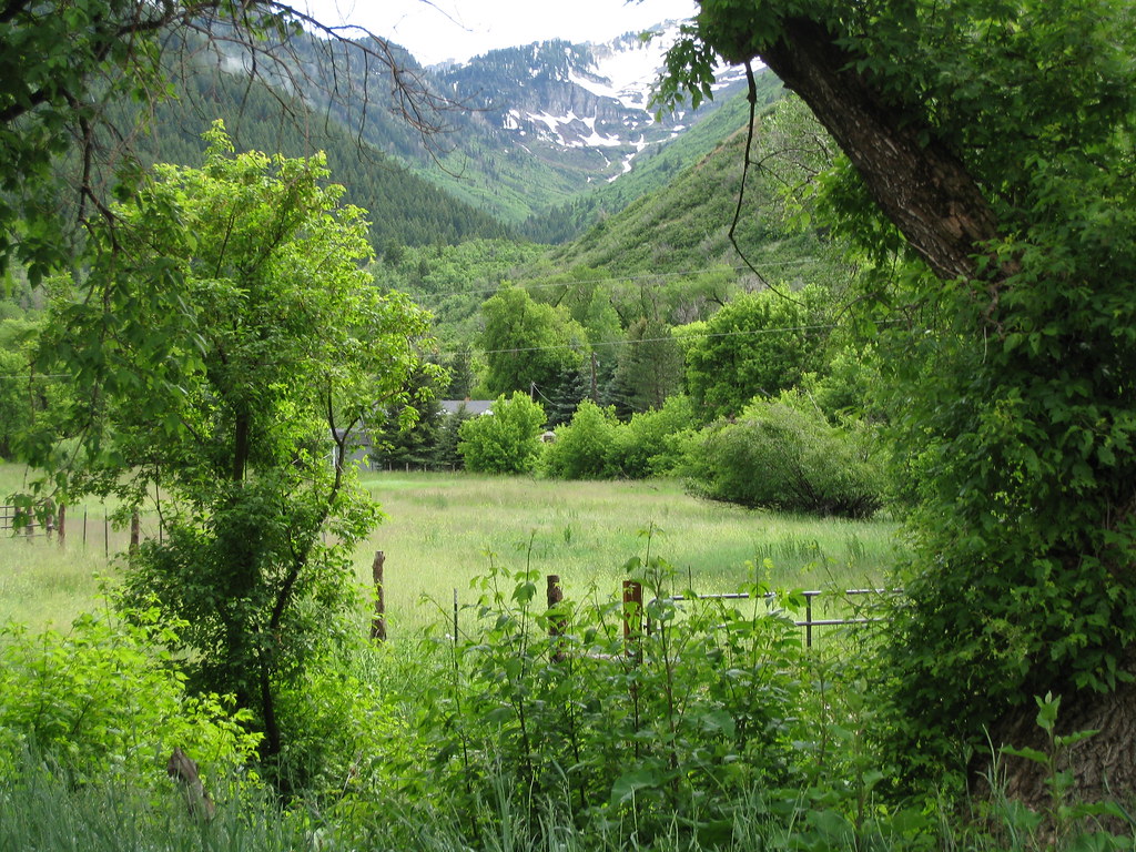 Old Farm in South Fork Canyon