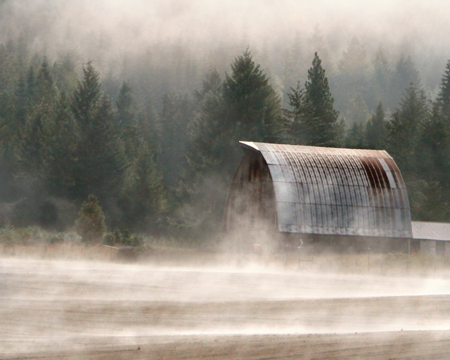 barn and fog
