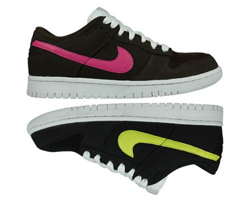 nike-dunk-low-cl-ss09-1