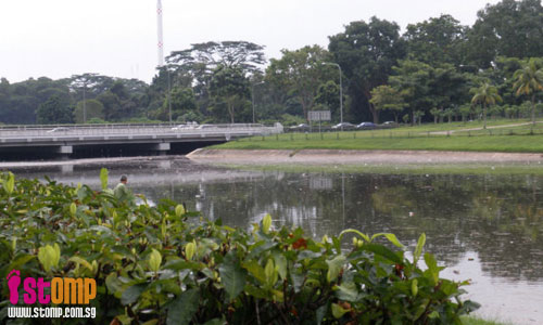 Man fishes at Sungei Pandan despite polluted waters