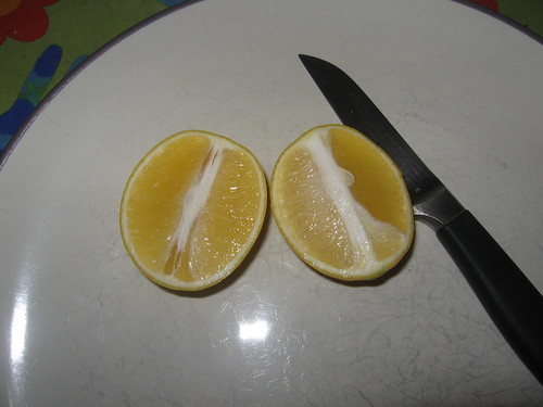 sliced meyer lemon
