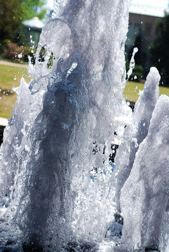 365_Water[2009]