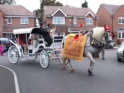 Indian Wedding Horse and Cart Hire White