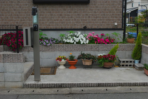 the front planter box