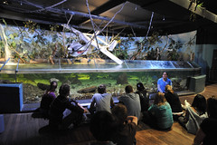 Melbourne 2009 - Melbourne Aquarium (12)