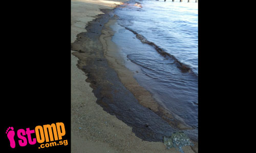 Oil slicks line East Coast beach, stinking and polluting the area