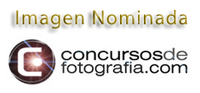 Concursos de Fotografía.
