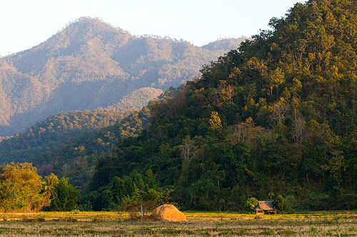 The hills surrounding Mae Hong Son -- a three-minute bike ride from my house