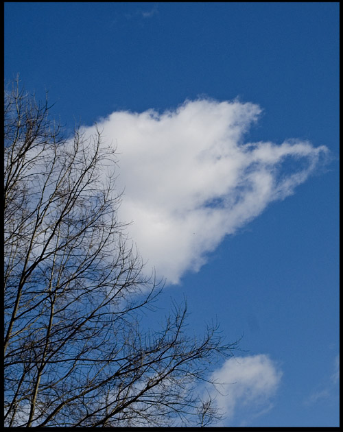 cherub-cloud