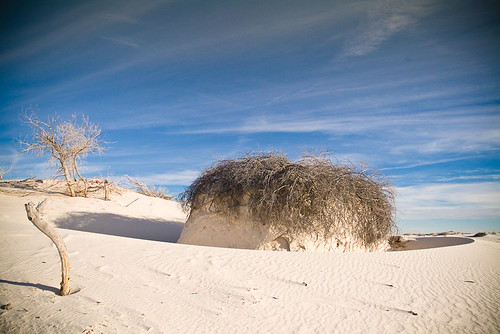 White Sands National Monument - Dunes