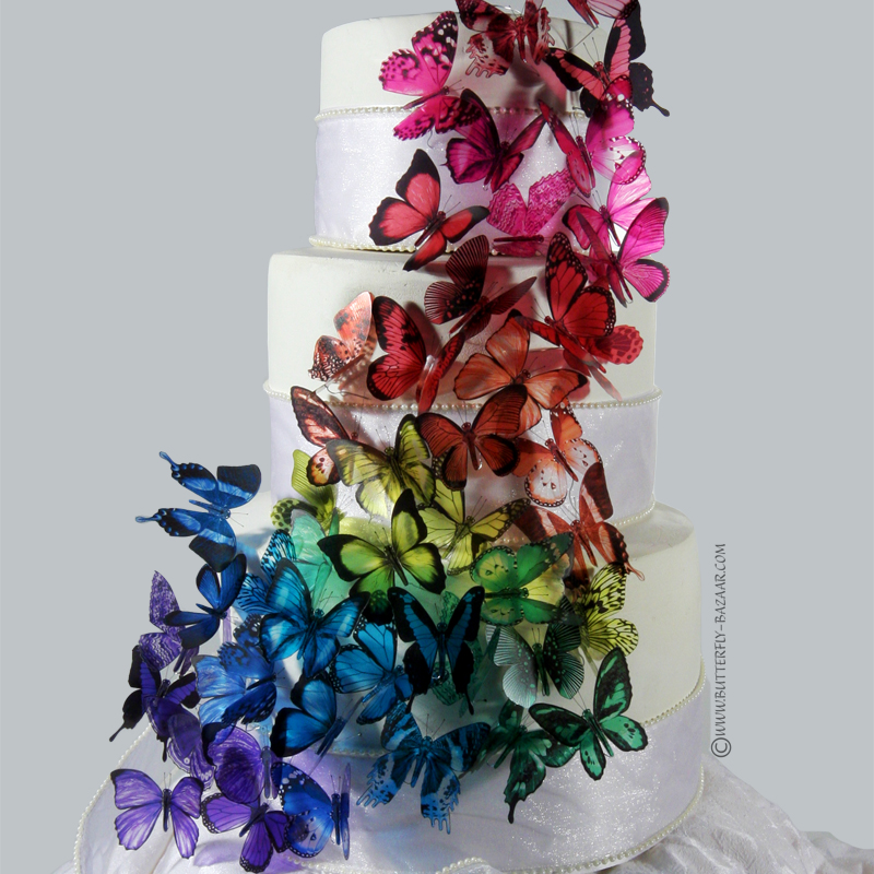 Summer wedding cake decorated with colourful butterflies