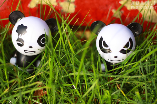 Grass Pandas