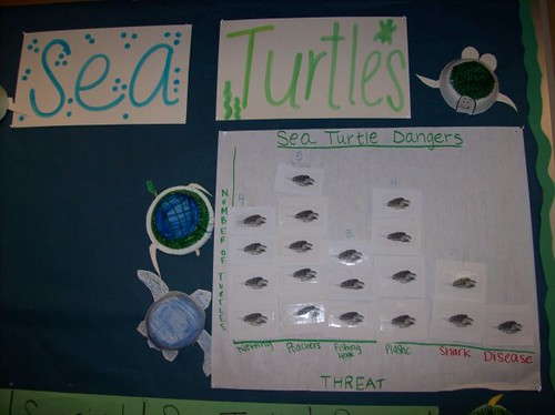 sea turtle bulletin board