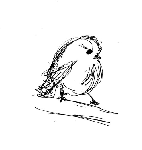 sketched birds