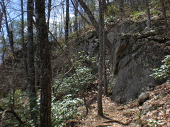  8 - Freeman Trail 3