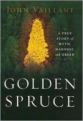 Vaillant Golden Spruce