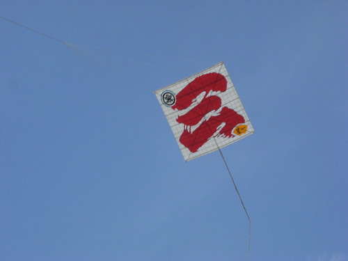 Kite Festival