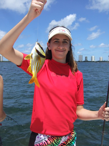 Rachel catches a porkfish