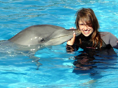 Dje kissed by a dolphin