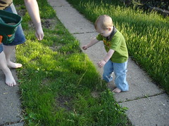 2009.05.17-Grass.07.jpg