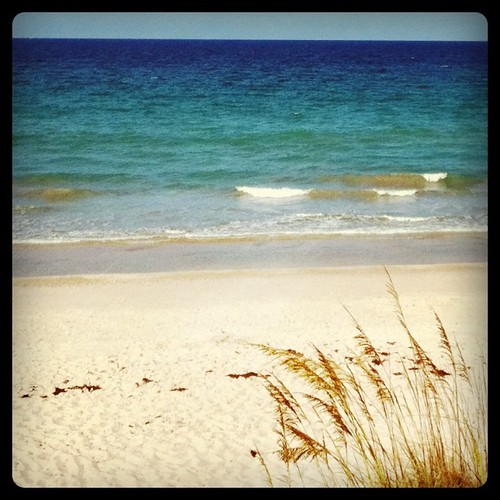 My View #Florida