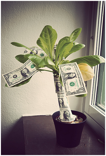 Money on Tree