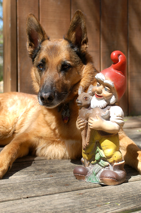 Jake n the gnome