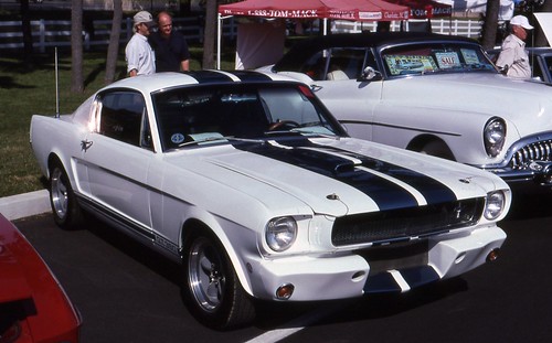 Shelby Mustang 6566