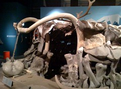 Mammoth hut