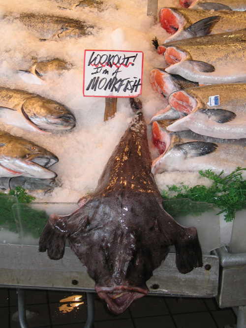 Lookout! I'm a Monkfish