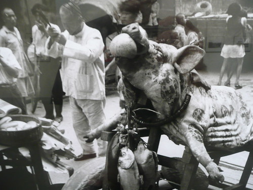 Sacrificial Pig Festival - Sanxia