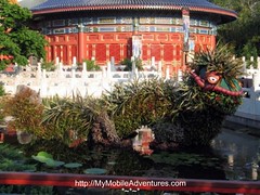 IMG_1142-EPCOT-China-topiary-dragon